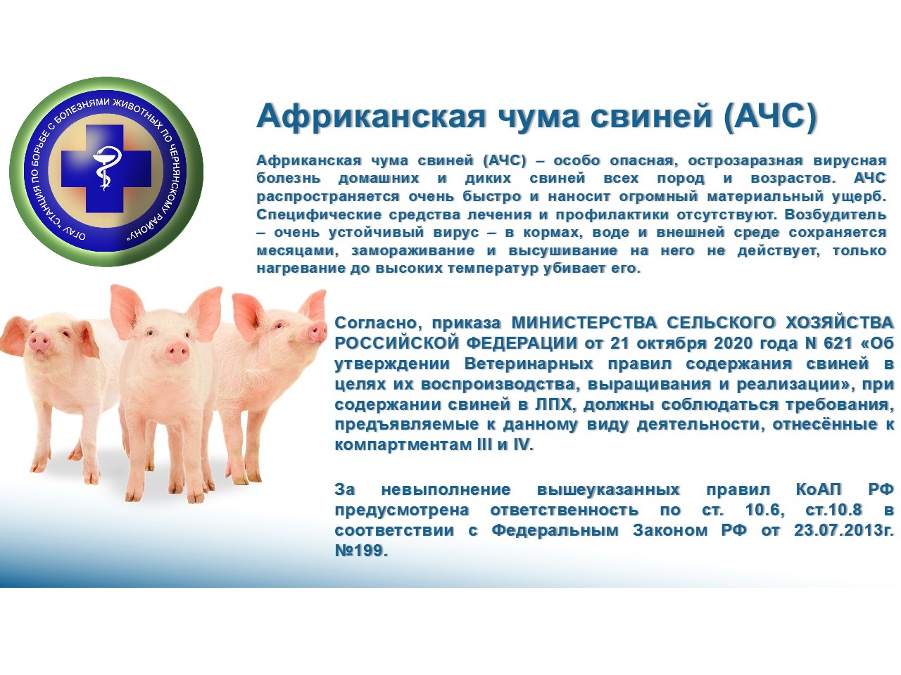 Африканская чума свиней (АЧС).