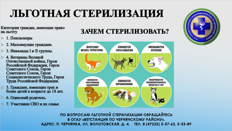 нет. нет.